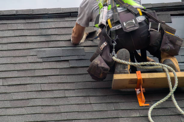 Professional Roofing Contractor in Perryville, AR