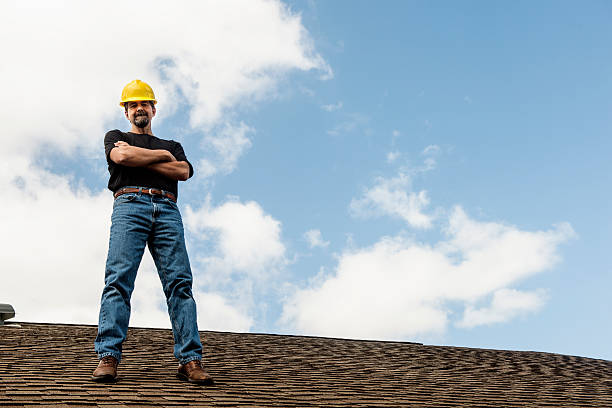 Best Roof Gutter Cleaning  in Perryville, AR